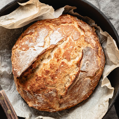 Organic Sourdough Starter