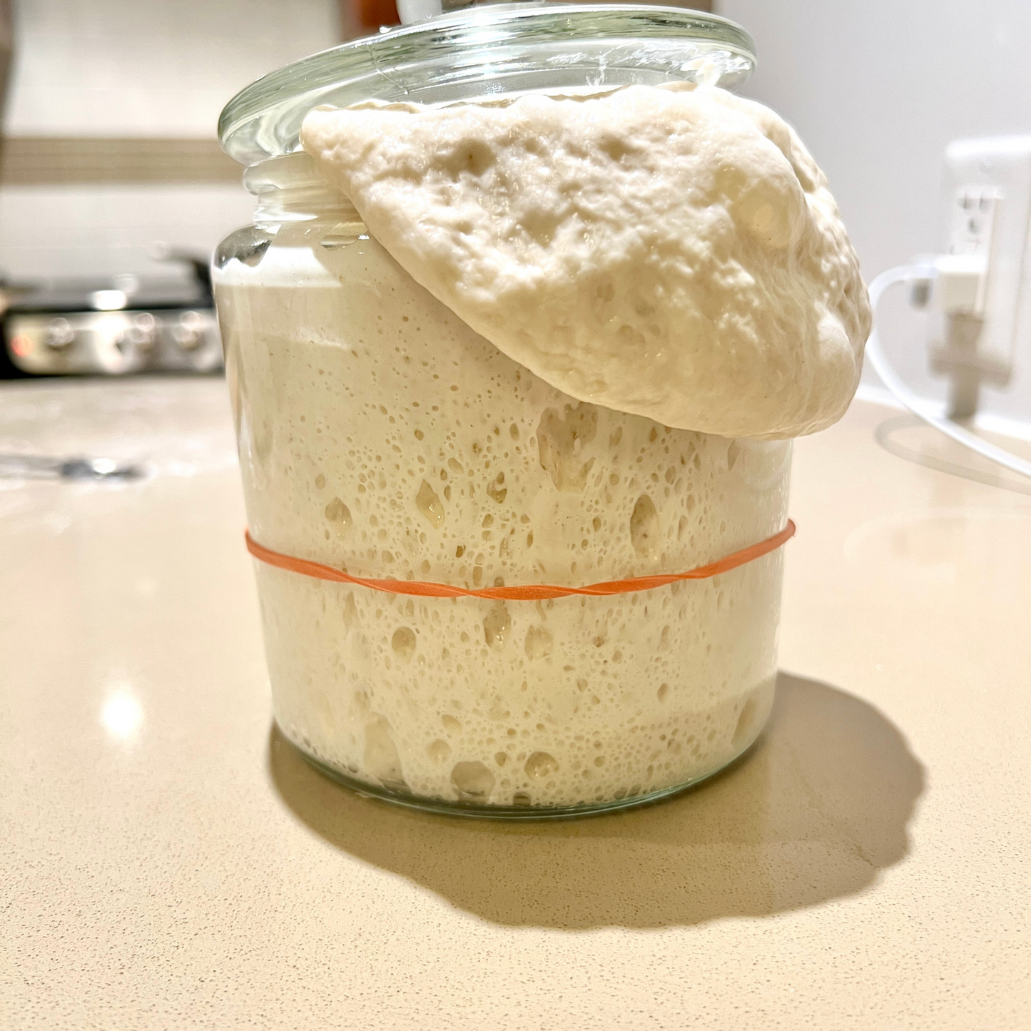 Organic Sourdough Starter